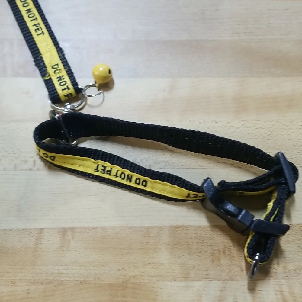 Yellow /Black small pet collar with leash.set
